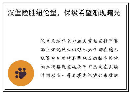 汉堡险胜纽伦堡，保级希望渐现曙光